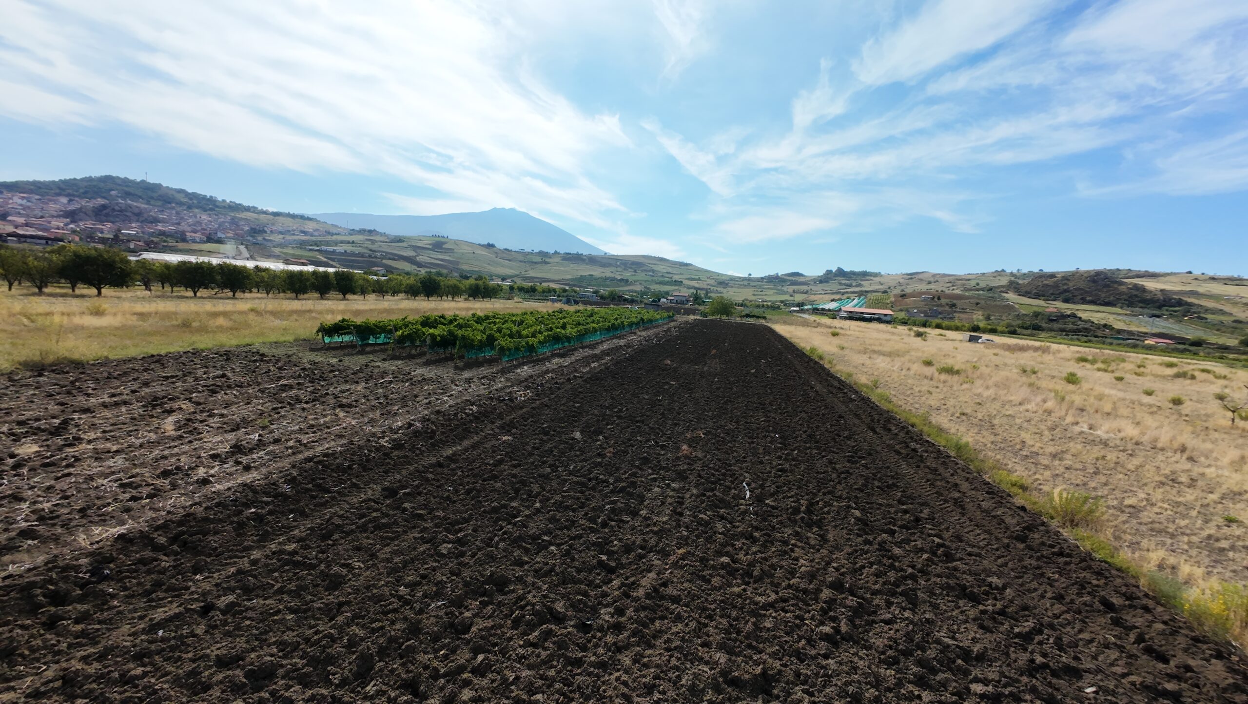 Terreno Agricolo Seminativo – Zona Bassa, Maletto (CT) Sicilia Superficie:  2700 mq