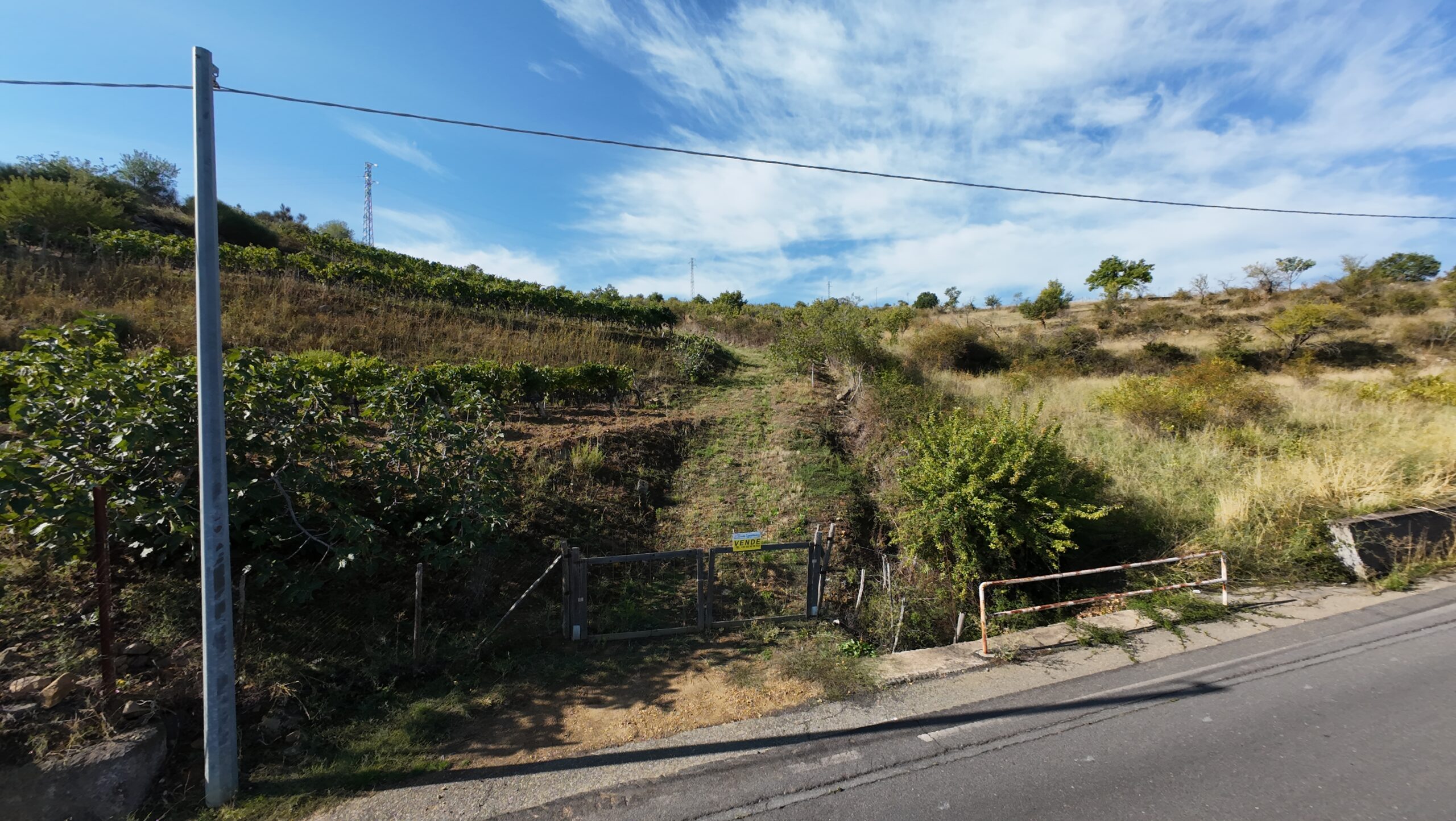 Terreno Agricolo – Vigneto – C.da Filice, Maletto (CT)
