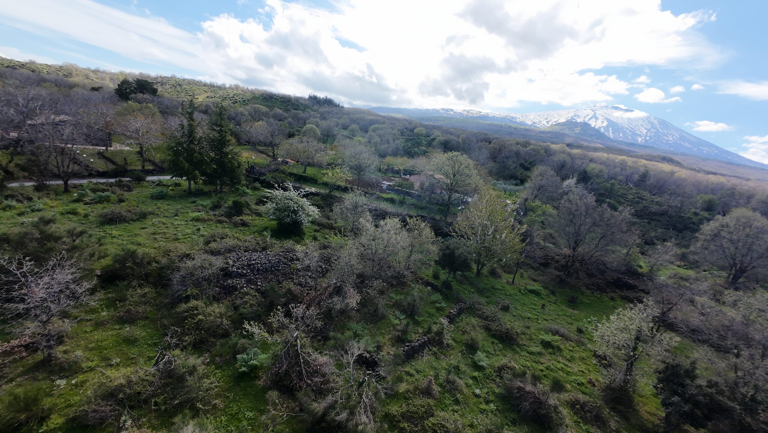 Terreno Agricolo + (Collabente) Contrada Feudo Soprano – Maletto (CT)
