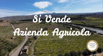 Azienda Agricola – Contrada Placatorre, Bronte (CT)