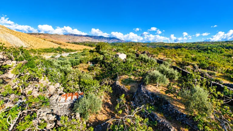 Panorama rurale mediterraneo tra ulivi e montagne_7_11zon