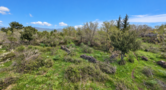 Terreno Agricolo + (Collabente) Contrada Feudo Soprano – Maletto (CT)