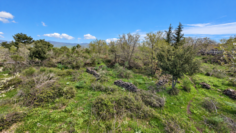 Terreno rurale tra colline e muretti